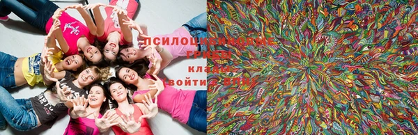 скорость Вяземский