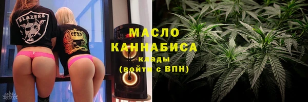 скорость Вяземский