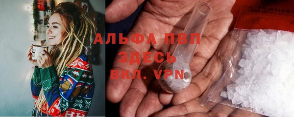 сатива Волосово