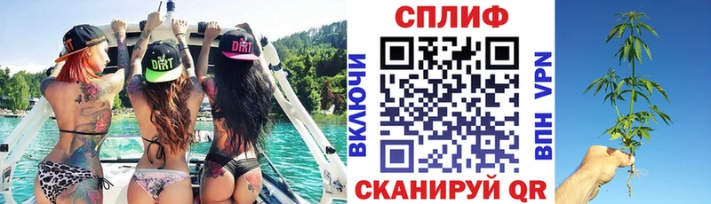 Бошки Шишки конопля Джанкой